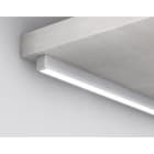 TSL - PERFIL SUPERFICIE TSL - S10