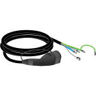 Schneider Electric - Cable de carga T2 32A 1P 4m W/SW repuesto