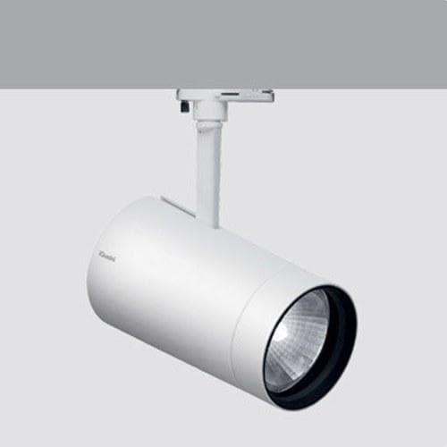 IGUZZINI - PROY.PALCO GDE.WIDE FLOOD 46W 3000K BL.