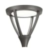 Uña del pulgar Imagen del producto 1