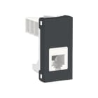 Schneider Electric - Toma teléfono RJ12 1 modulo antracita