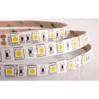 ILUTREK - Tira LED Livorno 14,4W/m IP65 3K 24V (en rollo de 5m)