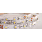 ILUTREK - Tira led Toscana 5W/m IP20 6K 12V (En rollo de 5m)