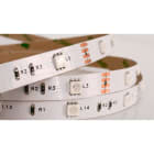 ILUTREK - Tira LED Trento 7W/m IP20 RGB 12V (en rollo de 5m)