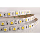 ILUTREK - Tira led Turin 14,4W/m IP20 6K 24V (En rollo de 5m)