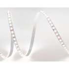 TSL - TIRA DE LED DUAL 2 DE 16,4W CCT IP20/N