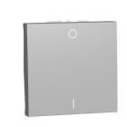 Schneider Electric - Interruptor bipolar 16A 2 módulos aluminio