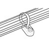 Uña del pulgar 37792603_4 4