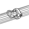 Uña del pulgar 37792603_5 5