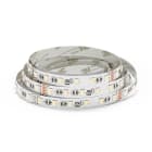 JISO - Tira LED 5m 90019 RGB + CCT 19W/m IP20 24V