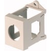 Uña del pulgar Imagen del producto 2