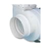 Uña del pulgar Imagen del producto 1