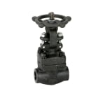 GENEBRE - VALVULA COMPUERTA A105 CLASE 800 SW 3/4"