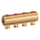 GIACOMINI - COLECTOR CON DETENTOR R553S/9 1"X18