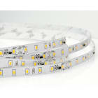 ILUTREK - Tira de led Cassino 7W/m IP20 3K tensión constante 24V (En rollo de 20m)