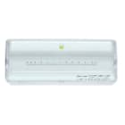 LUZNOR - Luminaria emergencia L LED sin permanente 250lm 1h difusor transparente