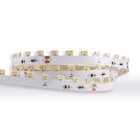 NEXIA - Tira led Times Sq 15W 1500lm/m 3000K 5 metros