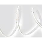 TSL - TIRA DE LED KUMA 1 DE 22W 6000K IP20/N