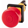 Uña del pulgar Imagen del producto 1