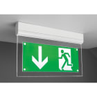 NORMALUX - Luminaria señalización SIGNAL 7 LED 1h permanente IK04 IP20 blanco