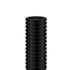Uña del pulgar Imagen del producto 1