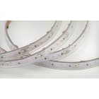 ILUTREK - Tira led especial pescado 12,8W/m IP65 4610K 24V (En rollo de 5m)