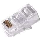 AVALVA - CONECTOR MACHO RJ45