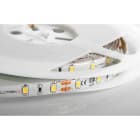 ILUTREK - Tira LED Imola 14,4W/m IP65 6K (en rollo de 5m)