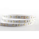 ILUTREK - Tira led Volterra 14,4W/m IP20 6K 24V