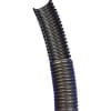 Uña del pulgar Imagen del producto 1