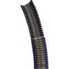 Uña del pulgar Imagen del producto 1