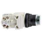 Schneider Electric - Pulsador luminoso verde diámetro 30 1 NA/NC 120V