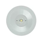 ZEMPER - Luminaria de emergencia SPAZIO R Autotest (ZX) 200lm lente ambiente tipo P/NP 2h de autonomía