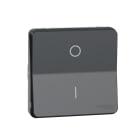 Schneider Electric - Interruptor bipolar de la gama MUREVA STYL color gris