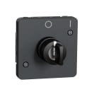 Schneider Electric - Interruptor de llave 2 posiciones de la gama MUREVA STYL color gris