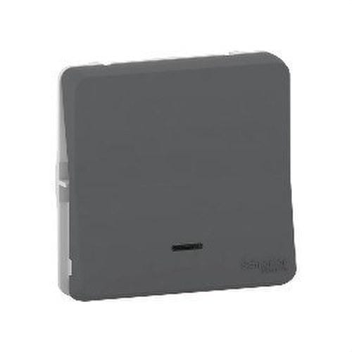 Schneider Electric - Pulsador componible 10A MUREVA STYL gris con LED para instalación en superficie o empotrada (IP55)