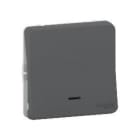 Schneider Electric - Pulsador componible 10A MUREVA STYL gris con LED para instalación en superficie o empotrada (IP55)