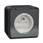 Schneider Electric - Base 2P+TT F superfície de la gama MUREVA STYL color gris