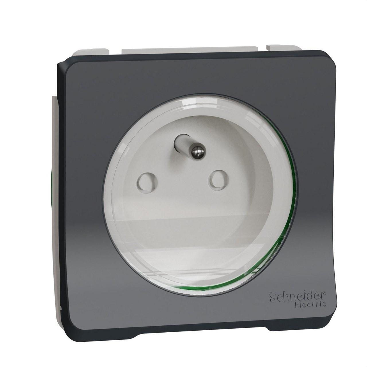 Schneider Electric - Base 2P+TT F conexión sin tornillos de la gama MUREVA STYL gris