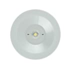 ZEMPER - Luminaria de emergencia SPAZIO R Autotest (ZX) 250lm lente ambiente tipo P/NP 1h de autonomía