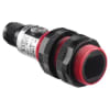 Uña del pulgar Imagen del producto 1
