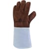 Uña del pulgar Imagen del producto 1