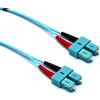 Uña del pulgar Imagen del producto 1