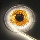 BLUELED - Tira flexible 3528 9,6W 3750-4250 IP68 rollo 5m