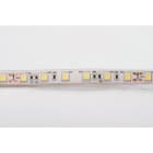 BLUELED - Tira flexible 5050 24V 14,4W 2600-2800K IP68