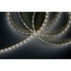 BLUELED - Tira flexible 3528 4,8W 3750-4250 IP68 rollo 5m