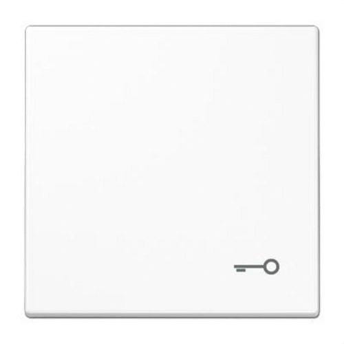 JUNG - Tecla símbolo puerta blanco alpino