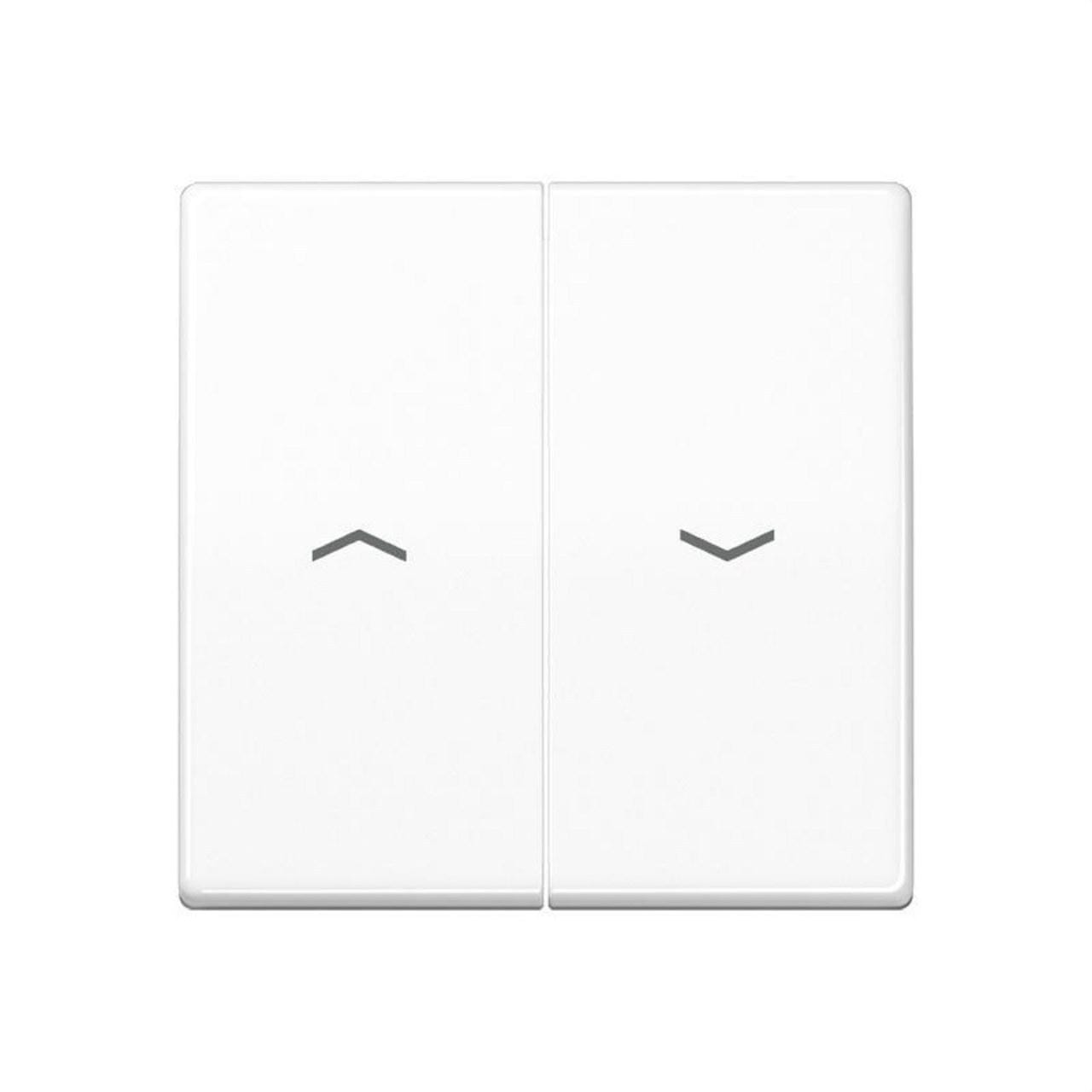 JUNG - Tecla para interruptor pulsador persiana placa central blanco