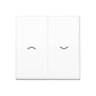 JUNG - Tecla para interruptor pulsador persiana placa central blanco