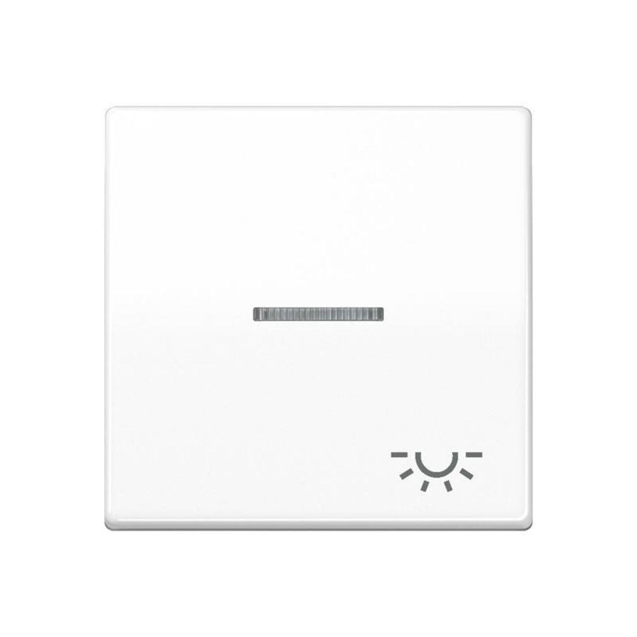 JUNG - Tecla con visor símbolo luz blanco alpino